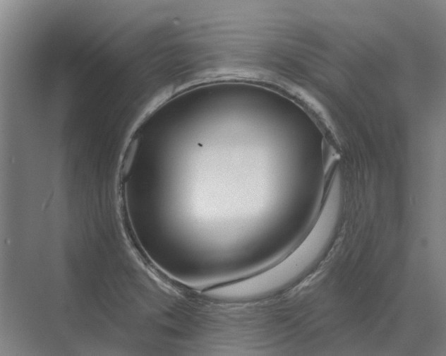 X0000073971373200609111731