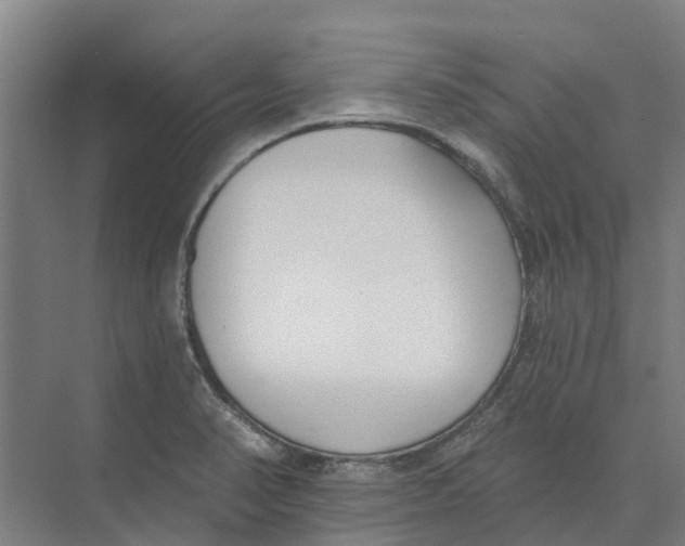 X0000073971374200609111731