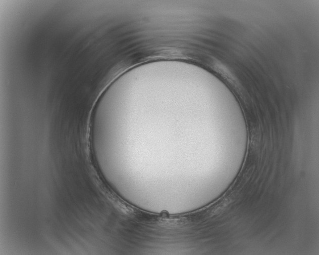 X0000073971378200609111731