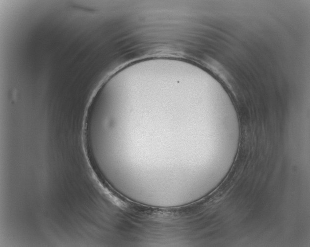 X0000073971379200609111731