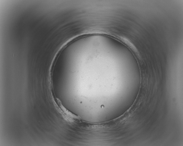 X0000073971380200609111731