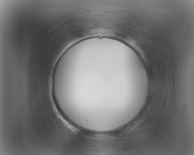 X0000073971383200609111731