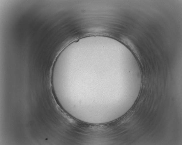 X0000073971386200609111731