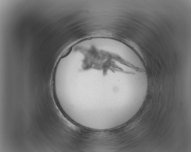 X0000073971387200609111731