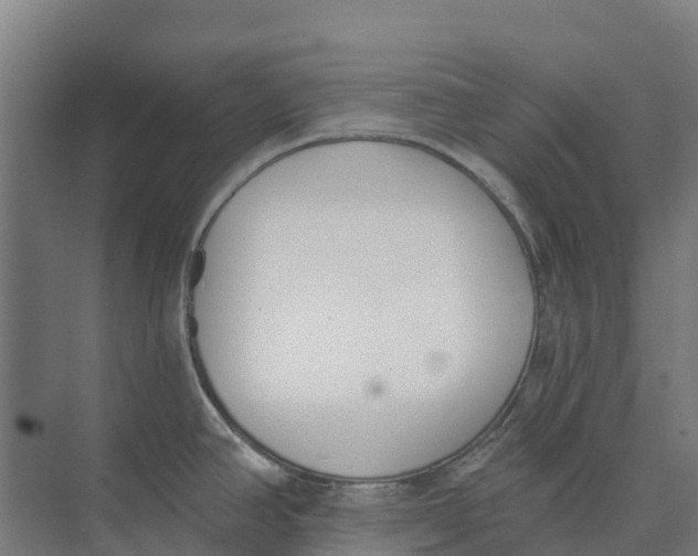 X0000073971390200609111731