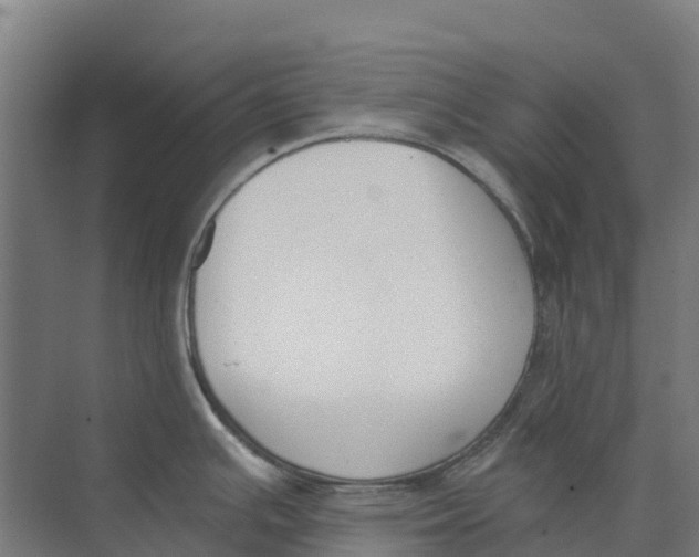 X0000073971391200609111731