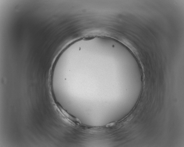 X0000073971392200609111731