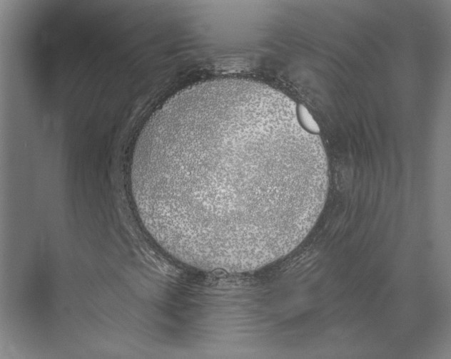 X0000073971393200609111730