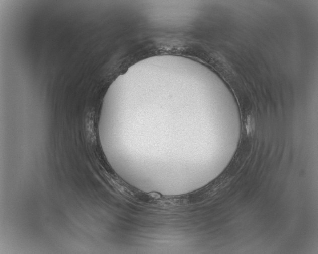 X0000073971396200609111730