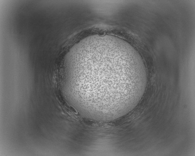 X0000073971397200609111730