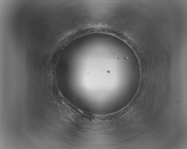 X0000073971398200609111730