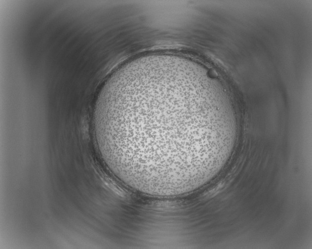 X0000073971401200609111730