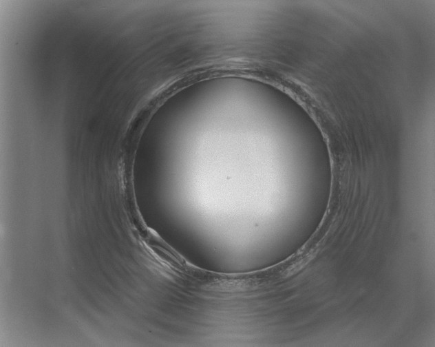 X0000073971402200609111730