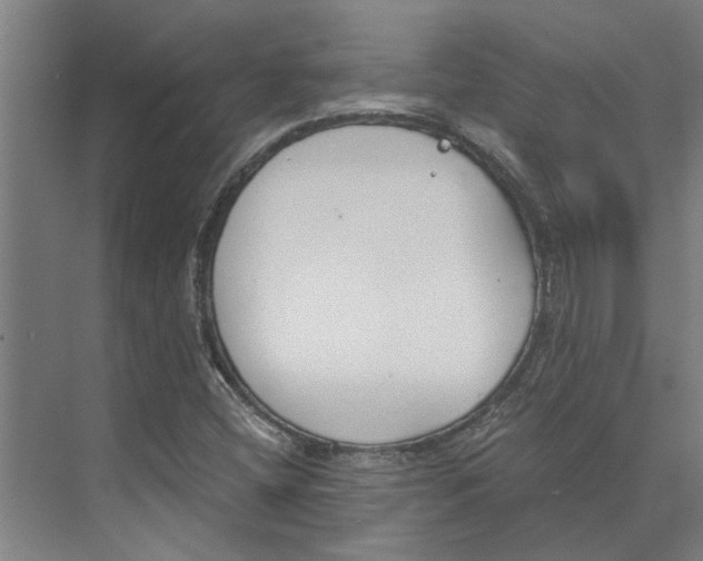 X0000073971404200609111730