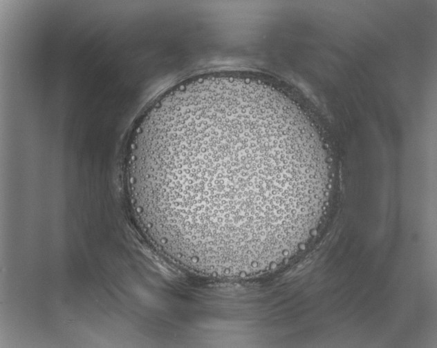 X0000073971405200609111730