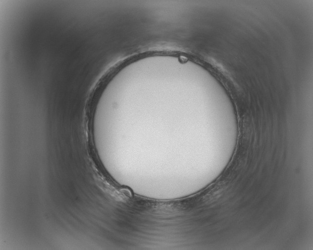 X0000073971408200609111730