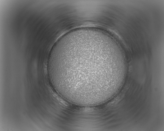 X0000073971409200609111730