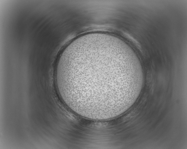 X0000073971411200609111730