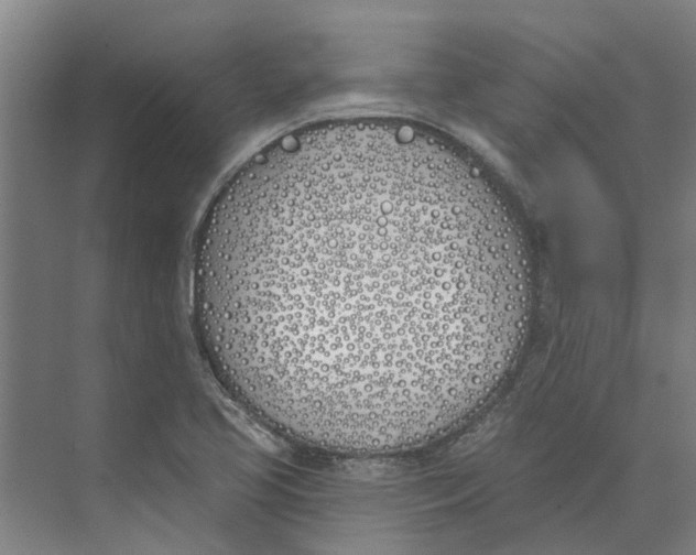 X0000073971413200609111730