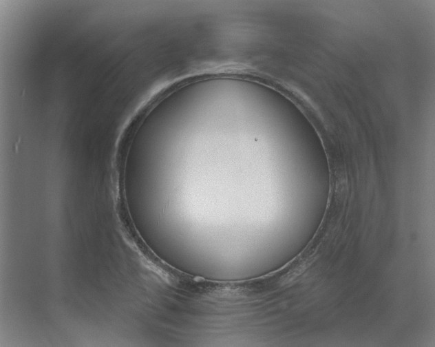 X0000073971414200609111730