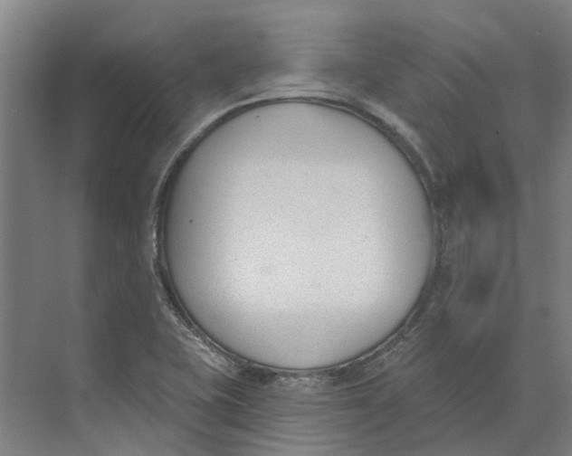 X0000073971415200609111730