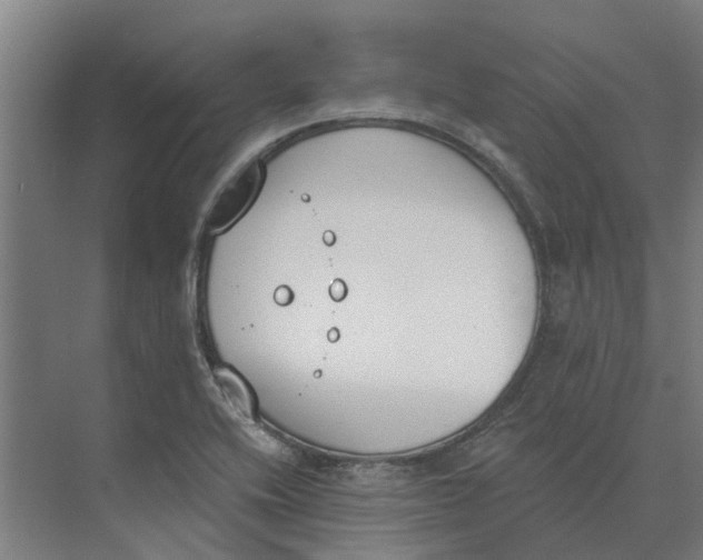 X0000073971416200609111730