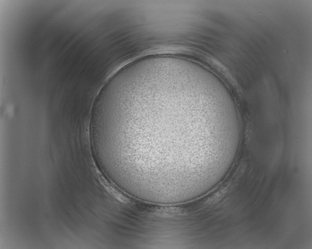 X0000073971417200609111730