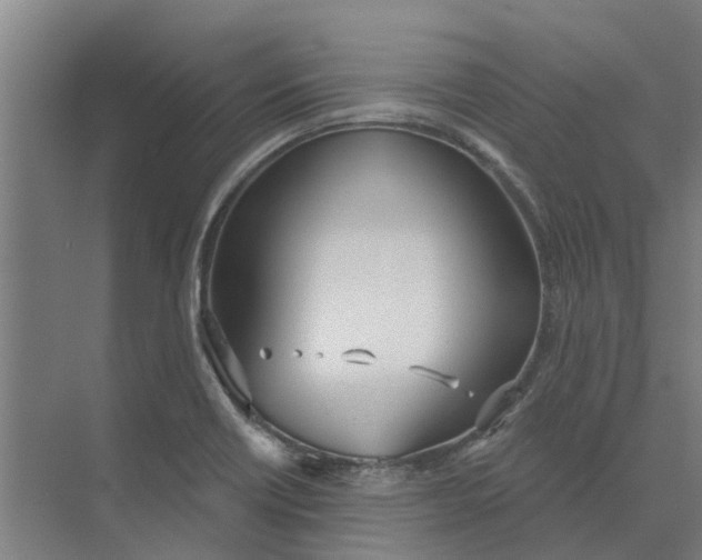 X0000073971418200609111730