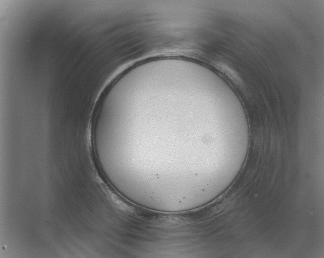 X0000073971420200609111730