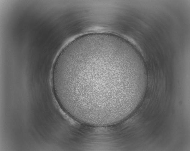 X0000073971421200609111730