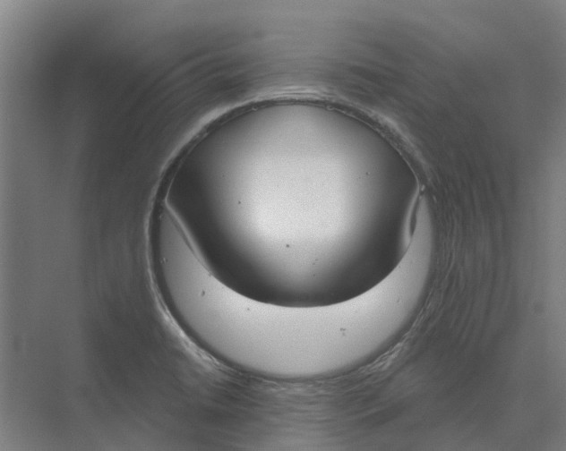 X0000073971422200609111730