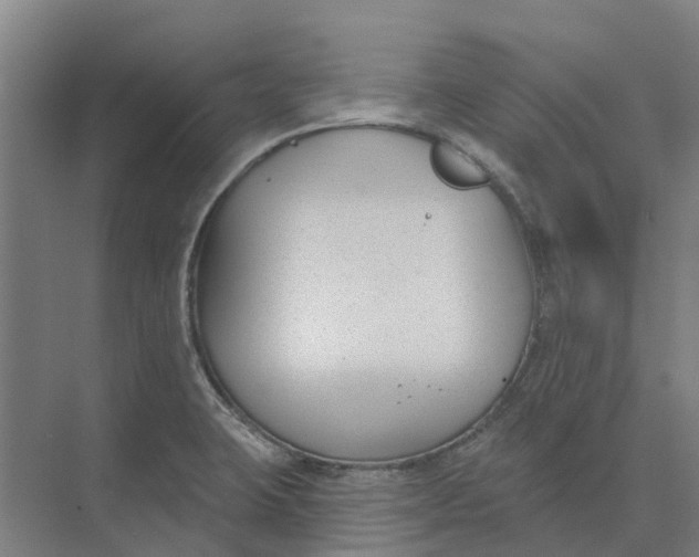 X0000073971423200609111730