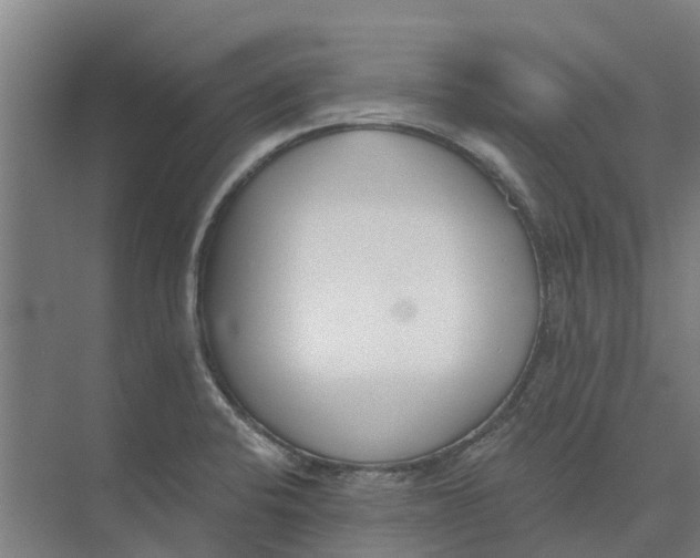 X0000073971424200609111730