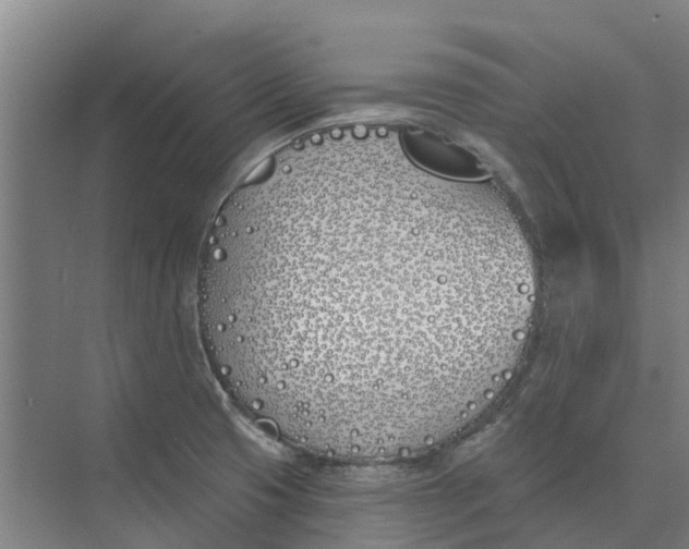 X0000073971425200609111730