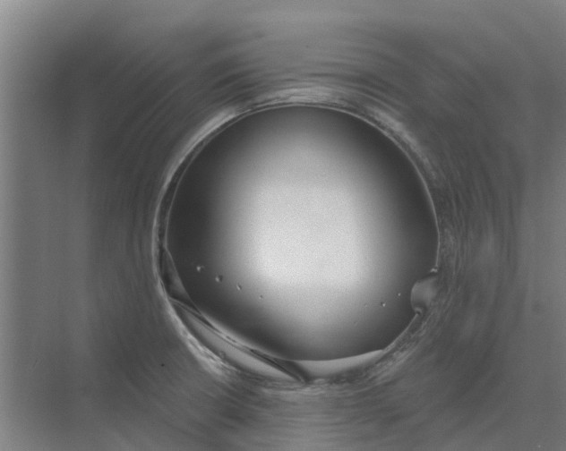 X0000073971426200609111730