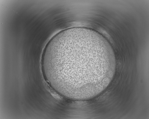 X0000073971427200609111730