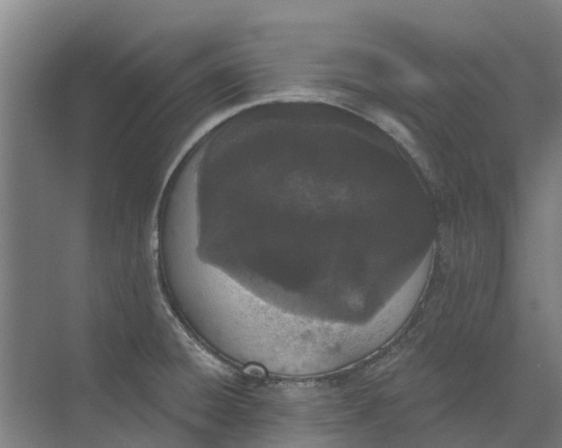 X0000073971428200609111730