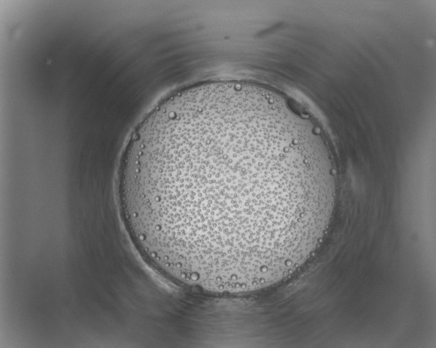 X0000073971429200609111730