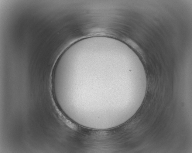 X0000073971431200609111730