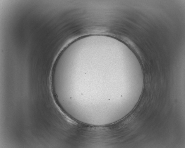 X0000073971432200609111730