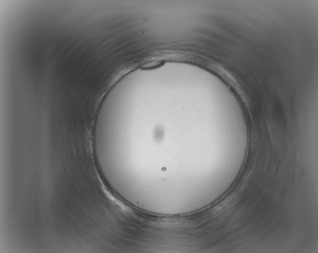 X0000073971433200609111730