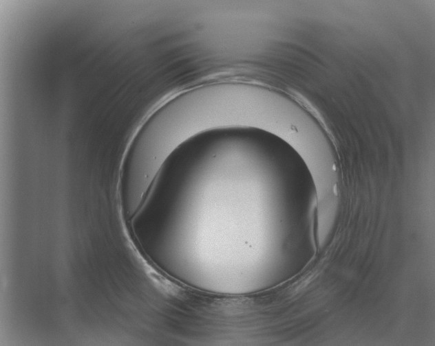 X0000073971434200609111730