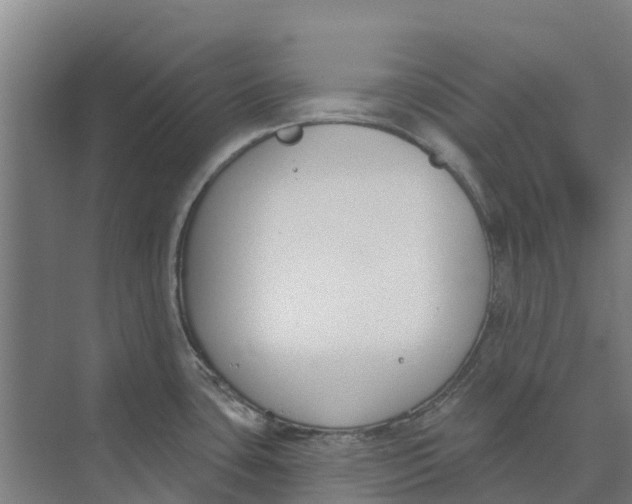 X0000073971435200609111730