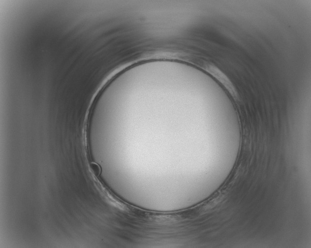 X0000073971436200609111730