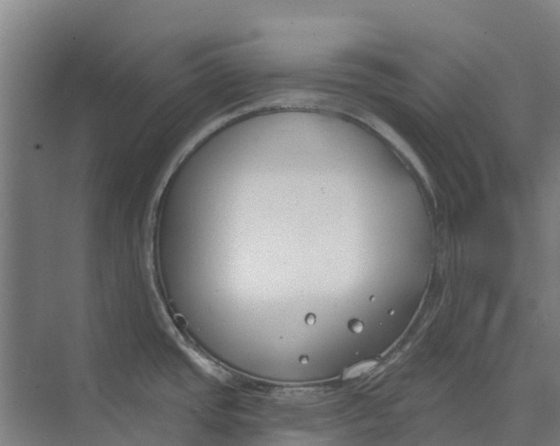 X0000073971437200609111730