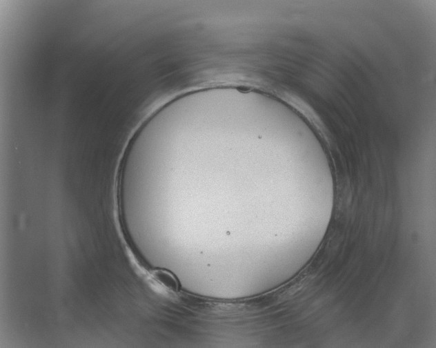 X0000073971439200609111730