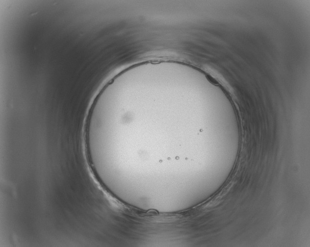 X0000073971440200609111730