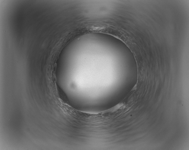 X0000073971441200609111730