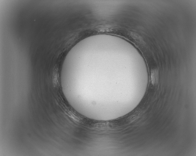 X0000073971444200609111730