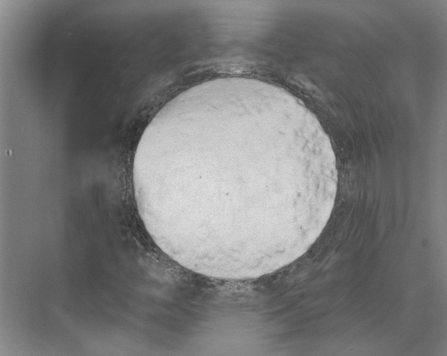 X0000073971446200609111730